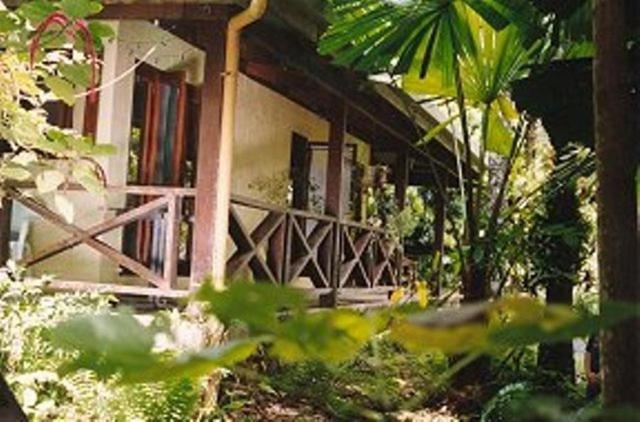 Daintree Deep Forest Lodge Cape Tribulation Exterior foto