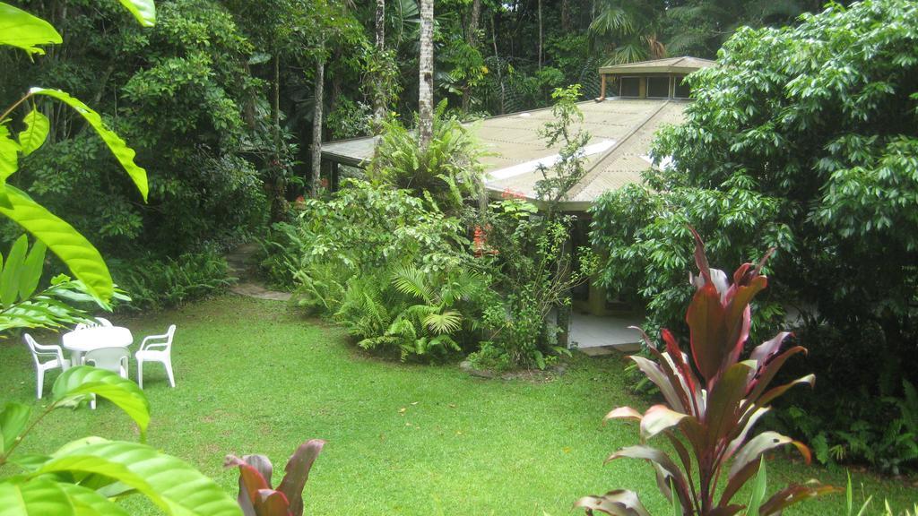 Daintree Deep Forest Lodge Cape Tribulation Exterior foto